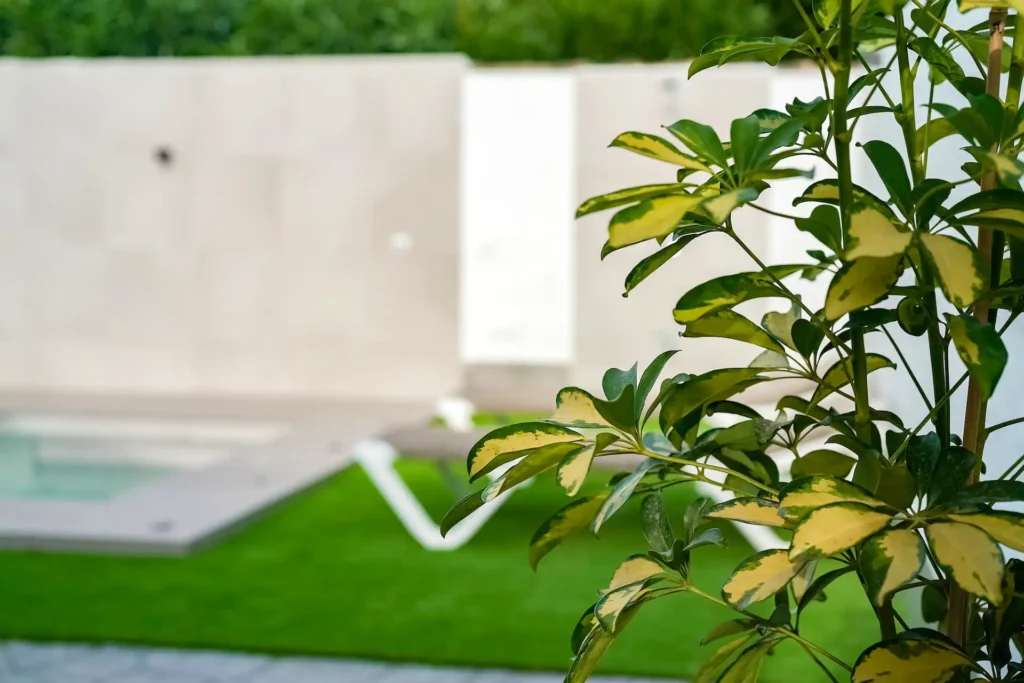 Casa de alquiler en Chiclana de la Frontera. Chalet en el Novo Sancti Petri. Casas Rurales en Cádiz
