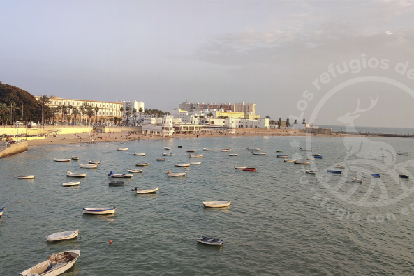 Qué hacer en Cádiz: 12 planes imprescindibles