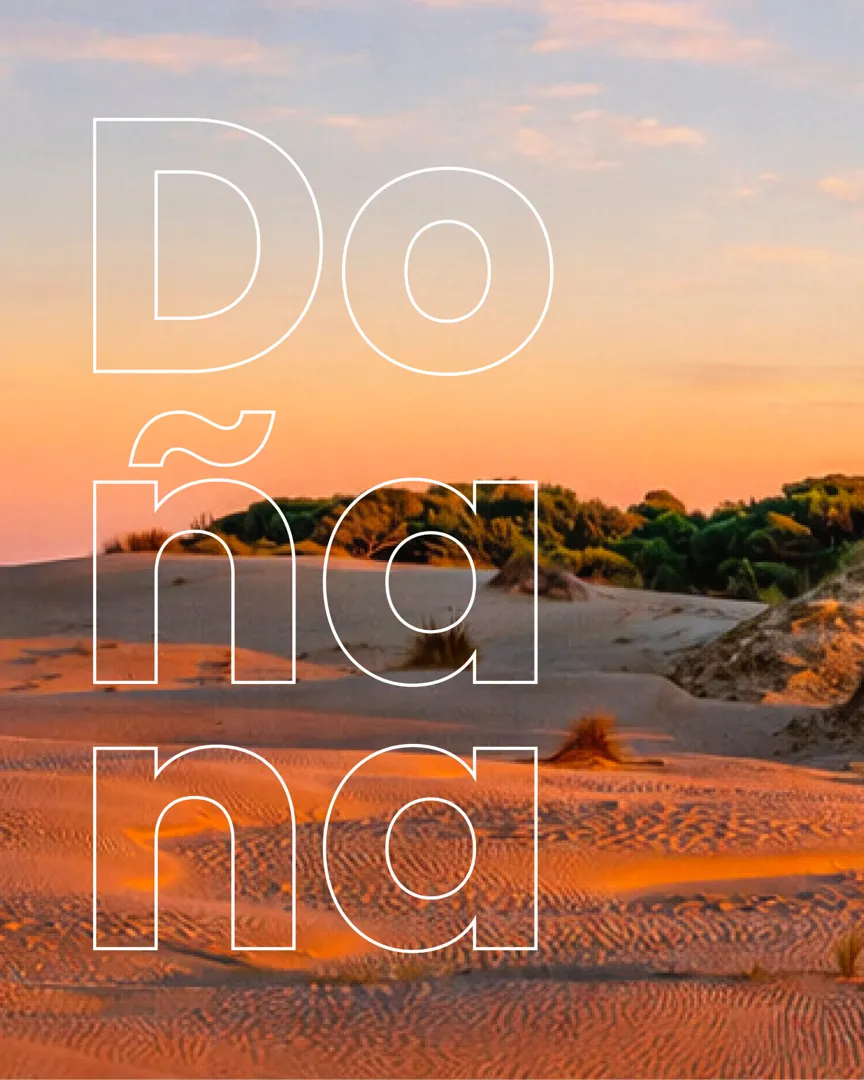 dunas de doñana