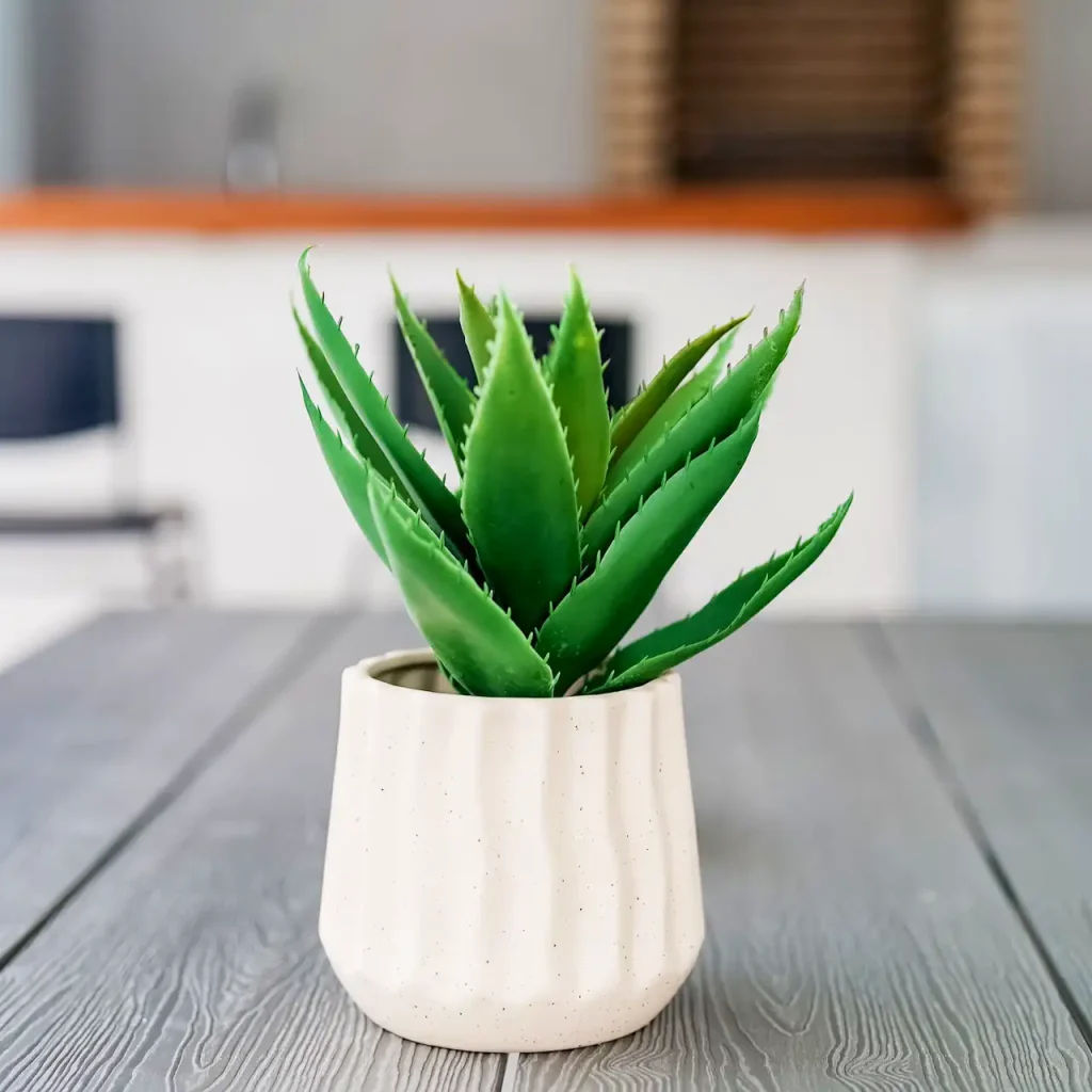 Casa de alquiler en Chiclana de la Frontera. Chalet en el Novo Sancti Petri. Casas Rurales en Cádiz