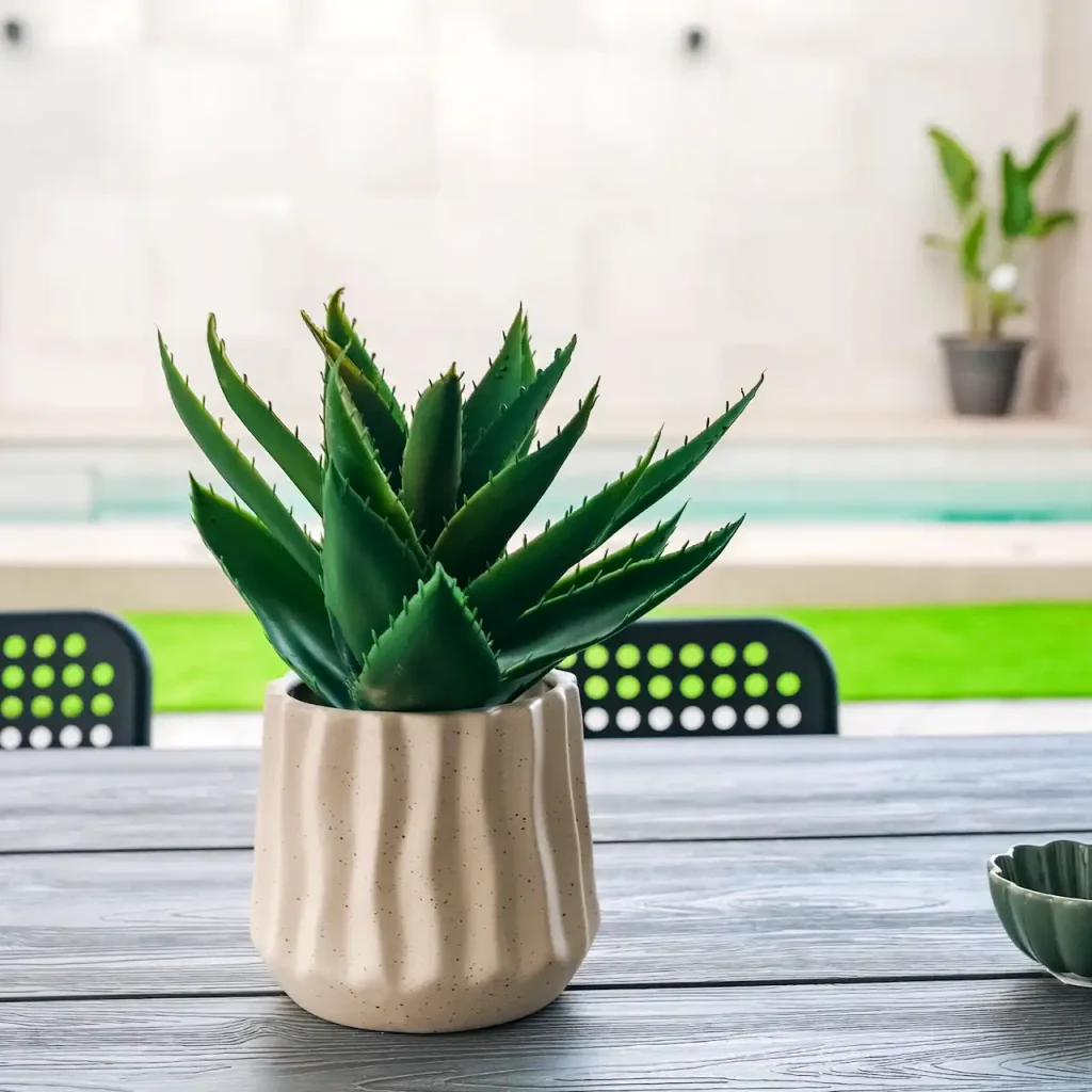 Casa de alquiler en Chiclana de la Frontera. Chalet en el Novo Sancti Petri. Casas Rurales en Cádiz